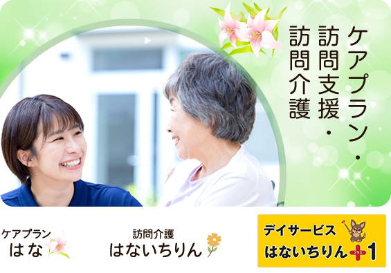 banner_careplan_half3